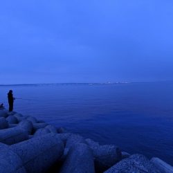 サバ祭りはおわっていたが…