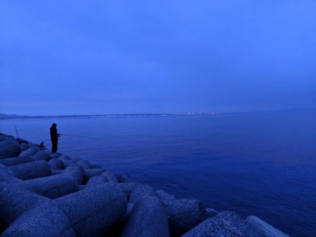 サバ祭りはおわっていたが…