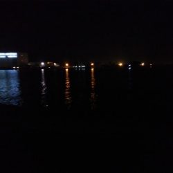 バチシーin泉大津