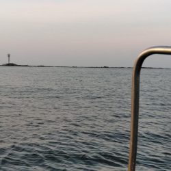 グレ・サンコ・釣れ出す・・