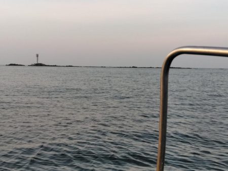 グレ・サンコ・釣れ出す・・