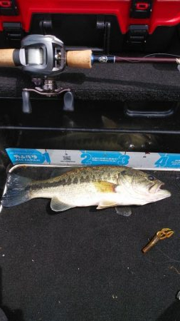 GWアシ打ちまだいけます！