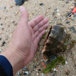 カレイにキス、そして…