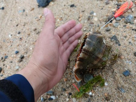 カレイにキス、そして…