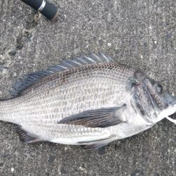 平成最終日の釣行