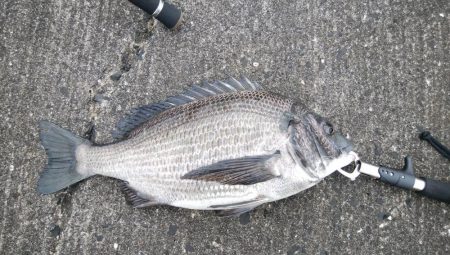 平成最終日の釣行