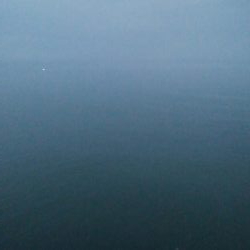 小マゴチが釣れました。。。