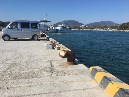 小アジ　赤多い