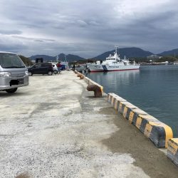 コアジ3匹、イワシ13匹