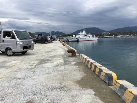 コアジ3匹、イワシ13匹