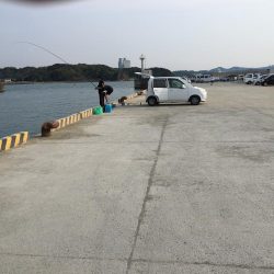 釣り人多いが当りはさびしい