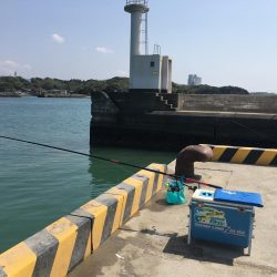 コアジ13匹、コイワシ13匹