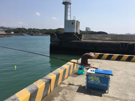 コアジ13匹、コイワシ13匹