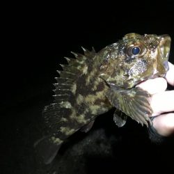 前人未踏のポイント新規開拓!?