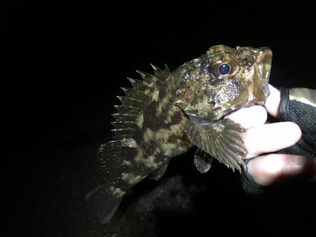 前人未踏のポイント新規開拓!?