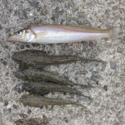 キスは時期尚早