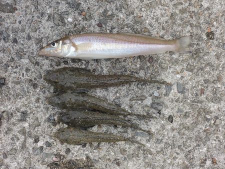 キスは時期尚早