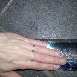 平成最後の春タチ釣行