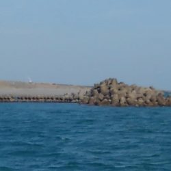 ホームで久しぶりの釣果