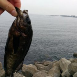 なんちゃってメバリング