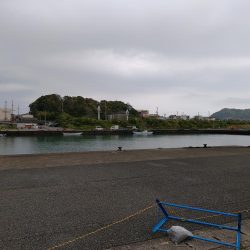 串本デイエギングで初アオリイカゲット