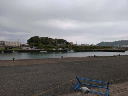 串本デイエギングで初アオリイカゲット