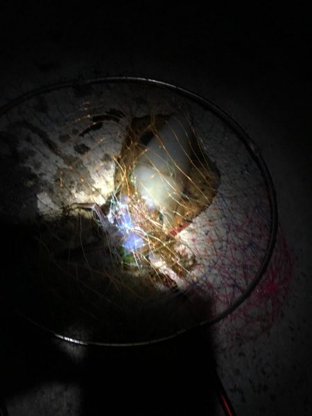 人生初アオリ!!