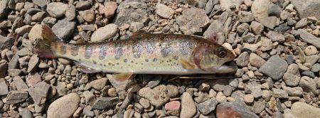 水瀬川 尺代漁業協同組合。