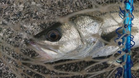 暖かい春の夕練！