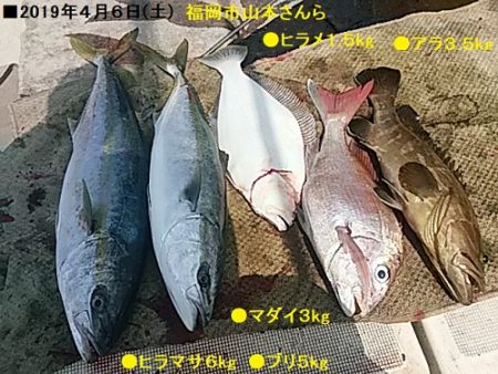 大物釣果速報！●光義丸：平戸市早福港