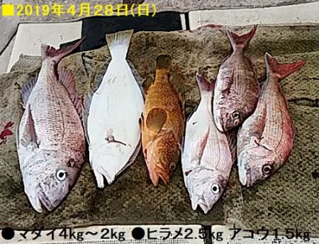 大物釣果速報！●光義丸：平戸市早福港