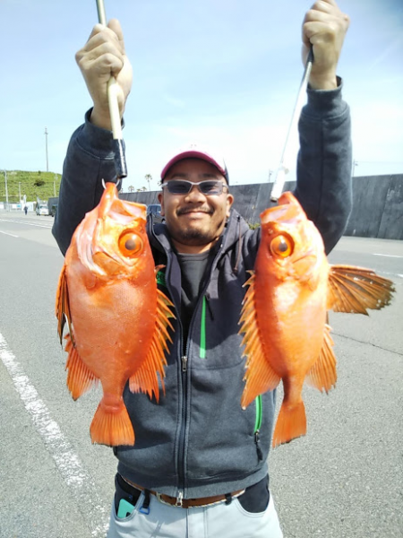 船・ジギング釣り果