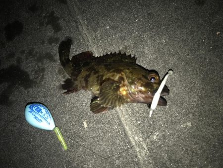 帰省してメバリング