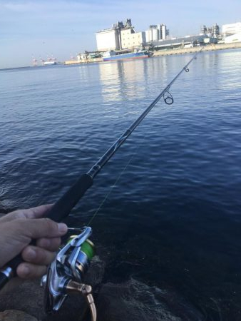 春サバ回遊継続中