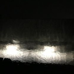 中紀ももう完全に春イカ開幕