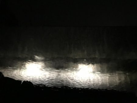 中紀ももう完全に春イカ開幕