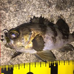 びちょびちょ!でも楽しい‼︎