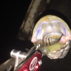 報われた〜！！