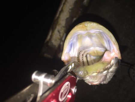 報われた〜！！