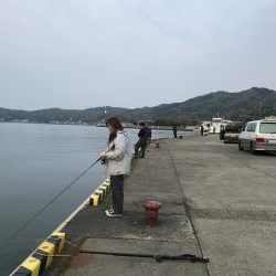 夕方にコウイカ