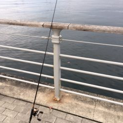 メバリングのはずが