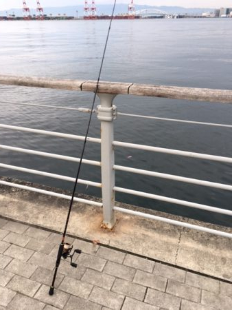 メバリングのはずが