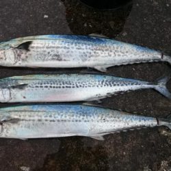 エソサン、サゴシサン