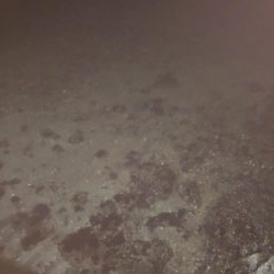 ナイトアジング