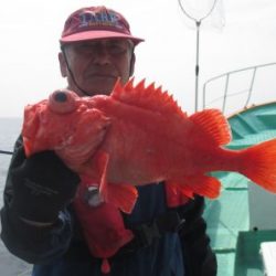 土佐安芸のハマちゃんの釣果