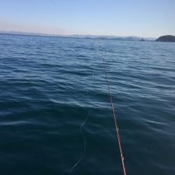 ボートでタイラバ