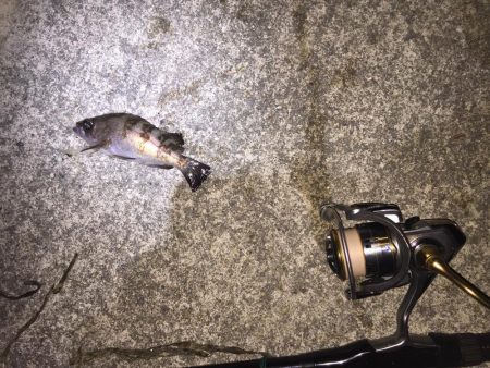 雨にも負けず！