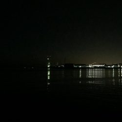 今日もフロート！