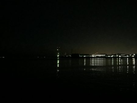 今日もフロート！