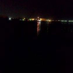 そろそろバチ抜け?